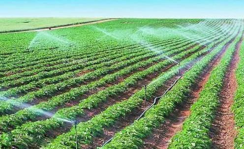 肥胖逼操农田高 效节水灌溉